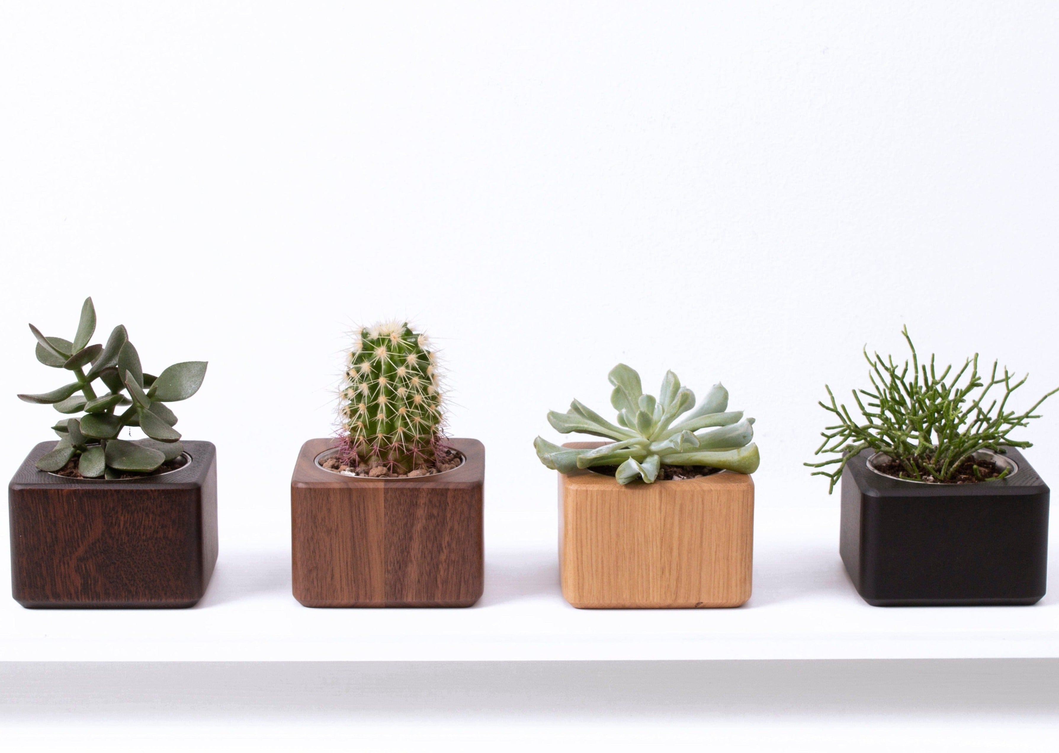 Planter pot