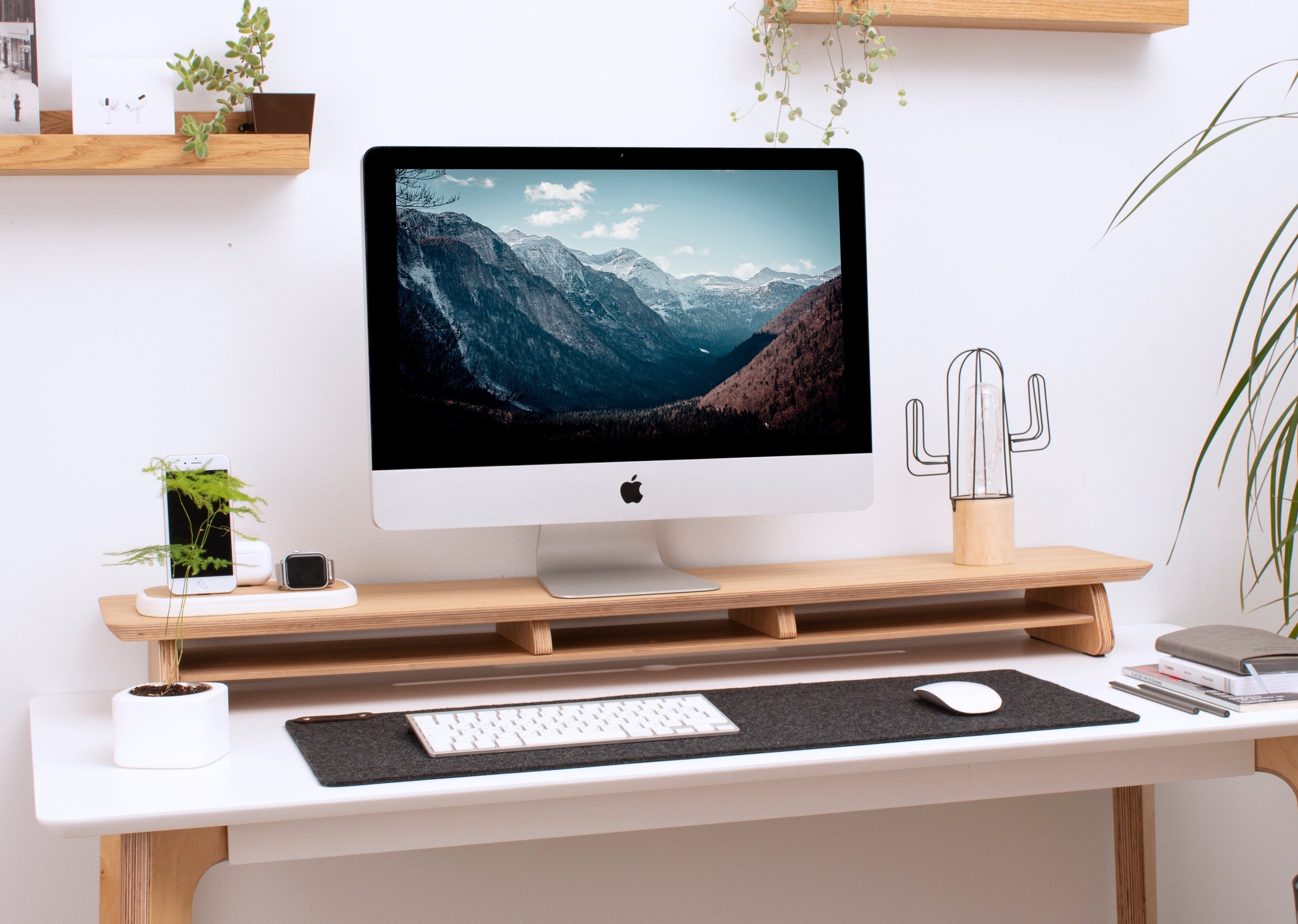 Monitor stand with shelf